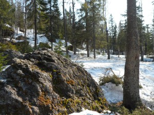 Гора Шунут, джип-тур, экстрим тур, Уральские Горы, пикник